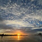See Natural Florida - Sunsets